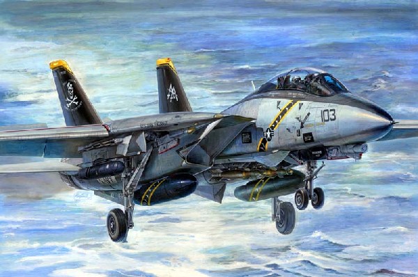a comprehensive analysis and description of the aircraft f 14 tomcat in the united states military A comprehensive analysis and description of the aircraft f-14 tomcat in the united states military pages 5 f 14 tomcat, f 14 tomcat speed, cat, top gun. a comprehensive analysis and description of the aircraft f 14 tomcat in the united states military A comprehensive analysis and description of the aircraft f-14 tomcat in the united states military pages 5 f 14 tomcat, f 14 tomcat speed, cat, top gun.